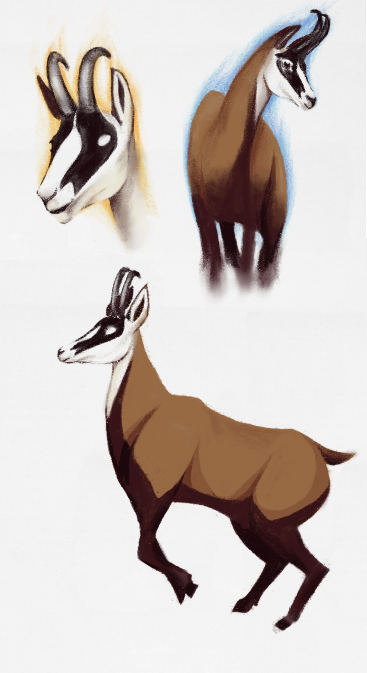 Chamois