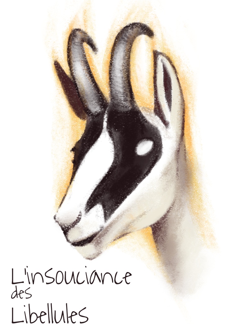 L’insouciance des libellules