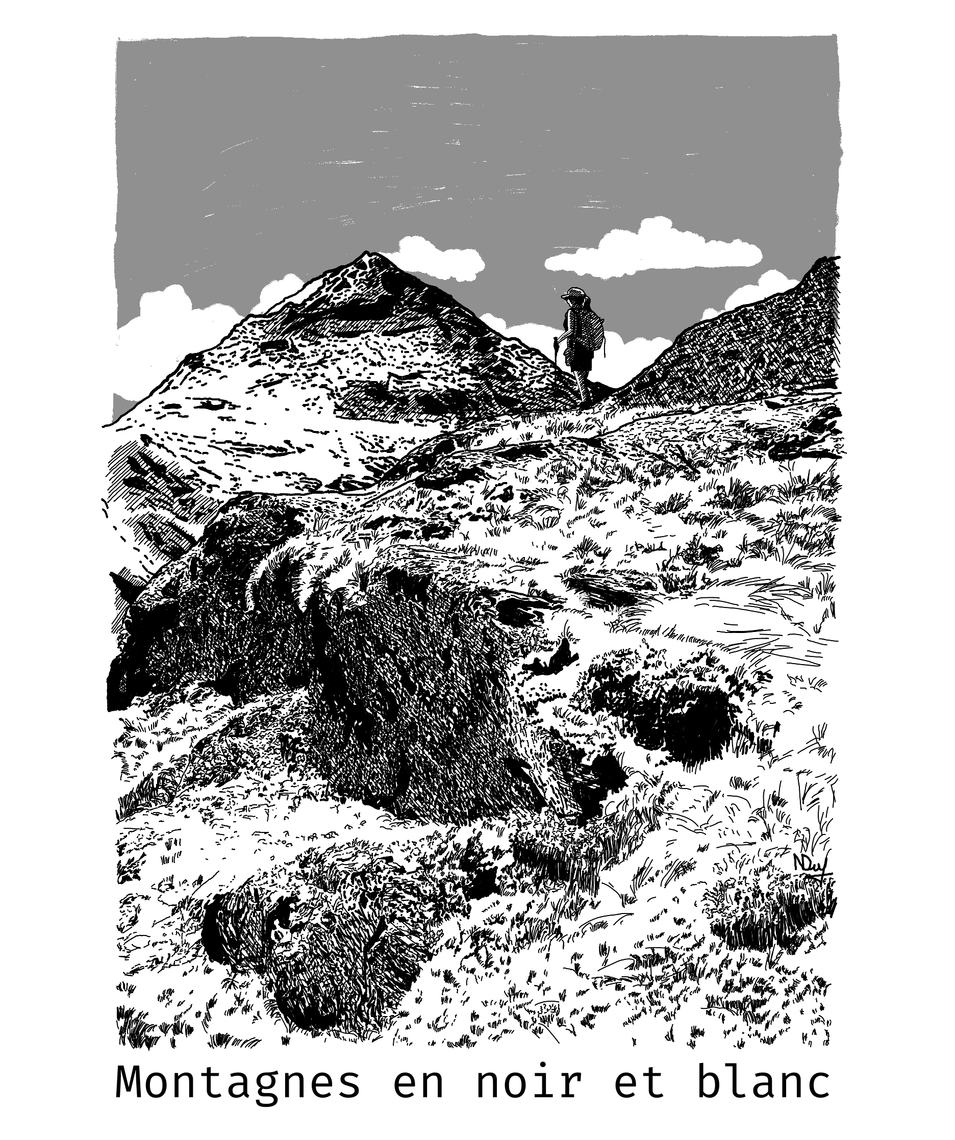 Montagnes en noir et blanc
